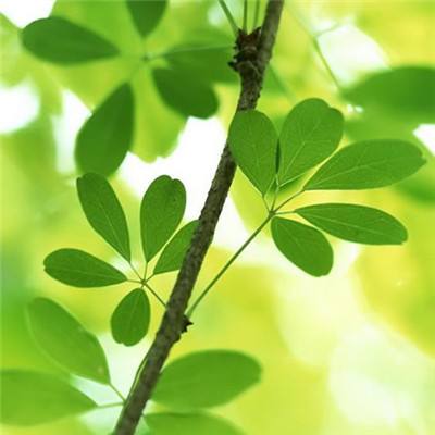 修仙无双百度多酷版下载