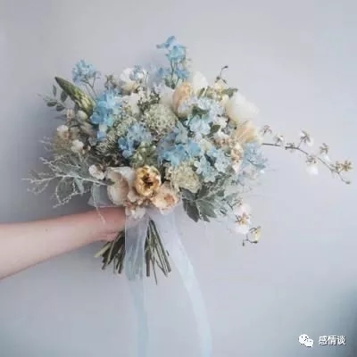 蚂蚁搬家游戏下载