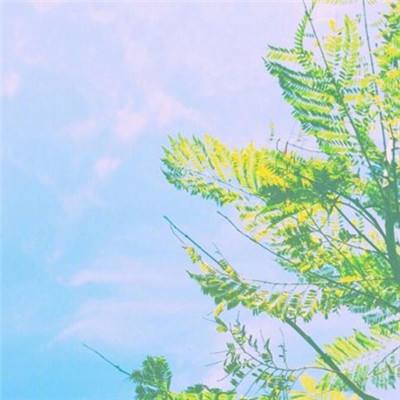 姬战风云游戏单机版下载