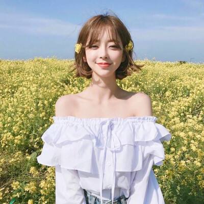 航海王激战果盘版最新版下载